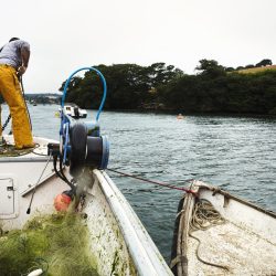 a-fisherman-in-waders-on-a-boat-hauling-up-the-an-2025-04-04-17-00-35-utc a-fisherman-in-waders-on-a-boat-hauling-up-the-an-2025-04-04-17-00-35-utc