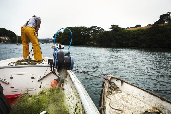 a-fisherman-in-waders-on-a-boat-hauling-up-the-an-2025-04-04-17-00-35-utc a-fisherman-in-waders-on-a-boat-hauling-up-the-an-2025-04-04-17-00-35-utc